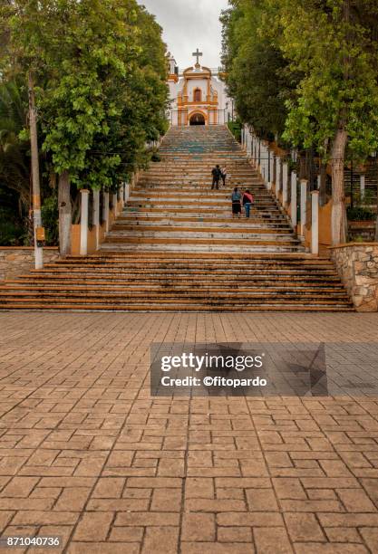 397 Virgen De Guadalupe Photos and Premium High Res Pictures - Getty Images 397 Virgen De Guadalupe Photos and Premium High Res Pictures - Getty Images