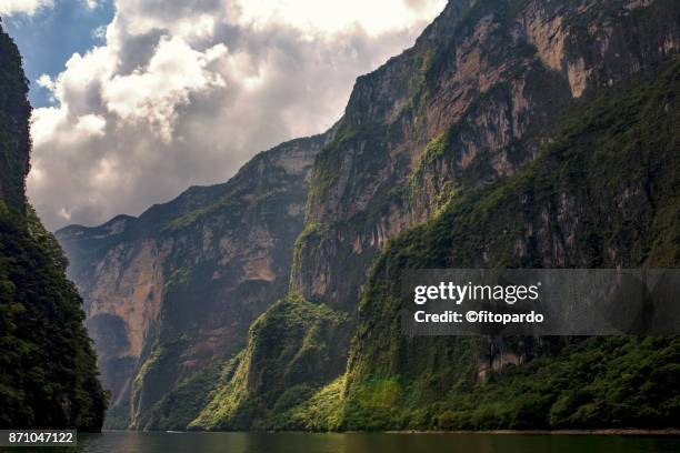 cañon del sumidero, sumidero canyon - rainforest river stock pictures, royalty-free photos & images