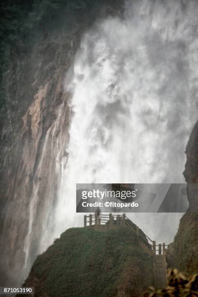 a tourist happy under chiflón waterfall in chiapas,  brief code 775071365 - southern european descent fotografías e imágenes de stock