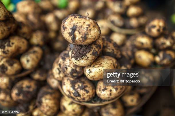 potatoes with soil over them - sliced potatoes stock pictures, royalty-free photos & images