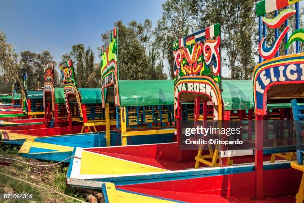 xochimilco gardens and boats - mexico city tourist stock pictures, royalty-free photos & images