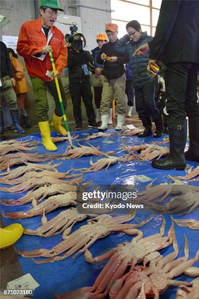 The season's first auction for snow crabs, or "zuwaigani" in Japanese, is held at a port in Tottori, western Japan, on Nov. 7, 2017. ==Kyodo