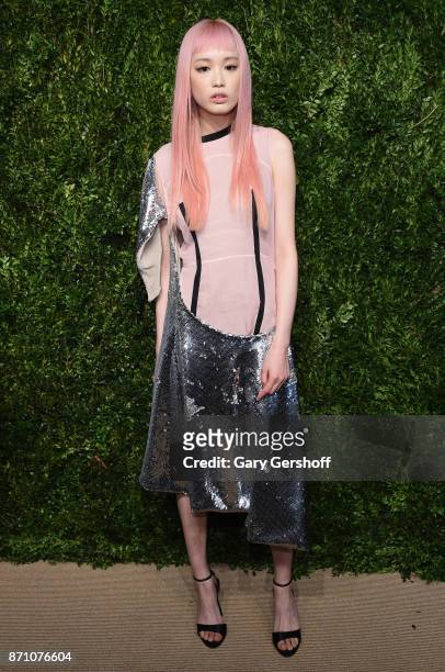 Model Fernanda Ly attends the 14th Annual CFDA/Vogue Fashion Fund Awards at Weylin B. Seymour's on November 6, 2017 in the Brooklyn borough of New...