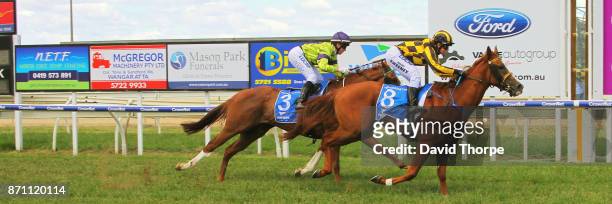 Red Gucci ridden by Brooke Sweeney wins the A1 Tyrepower Maiden Plate on November 07, 2017 in Wangaratta, Australia.