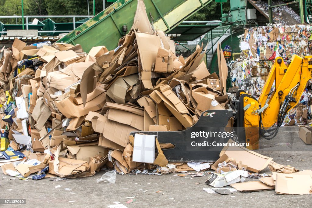 Separation of Cardboard at Garbage Recycle Center