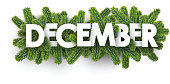 December banner with fir branches.