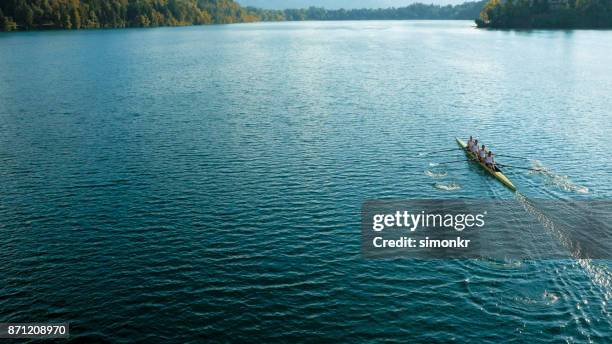 cuatro atletas masculinos remar en el lago sol - remo de punta fotografías e imágenes de stock