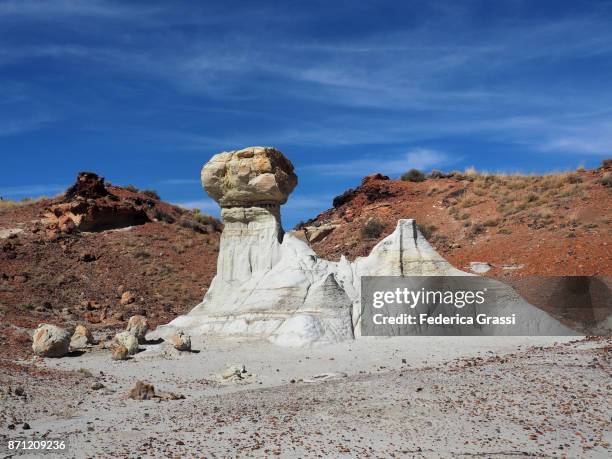 sphinx-shaped rock formation at ah-shi-sle-pah wilderness study area, nm - pinnacle rock formation fotografías e imágenes de stock