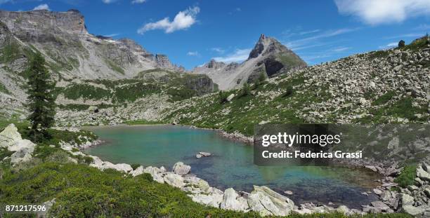 lago bianco (white lake) panoramic view, alpe veglia natural park - veglia ストックフォトと画像