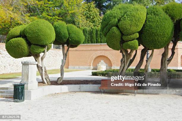 detail of retiro park parterre garden - detalle de los jardines del parque del retiro - madrid - spain - madrid province stockfoto's en -beelden