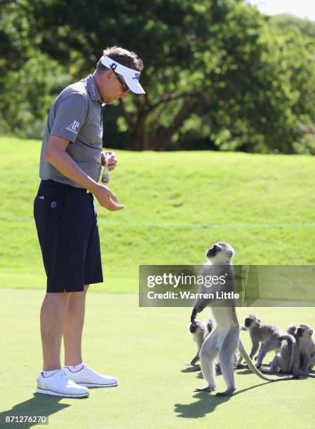 Ian Poulter of England feeds the monkeys on the range at the Lost City ahead of the Nedbank Golf Challenge at Gary Player CC on November 7, 2017 in...