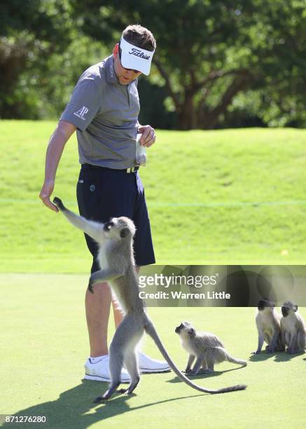 Ian Poulter of England feeds the monkeys on the range at the Lost City ahead of the Nedbank Golf Challenge at Gary Player CC on November 7, 2017 in...