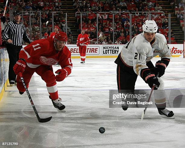 Dan Cleary of the Detroit Red Wings races for the loose puck with Sheldon Broobank of the Anaheim Ducks during Game Five of the Western Conference...