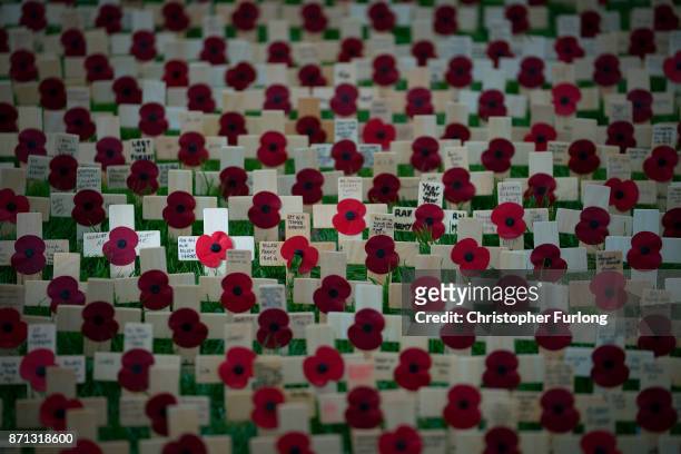 Crosses of Remembrance and bearing the names of fallen soldiers and poppies adorn the Field of Remembrance at the National Memorial Arboretum on...