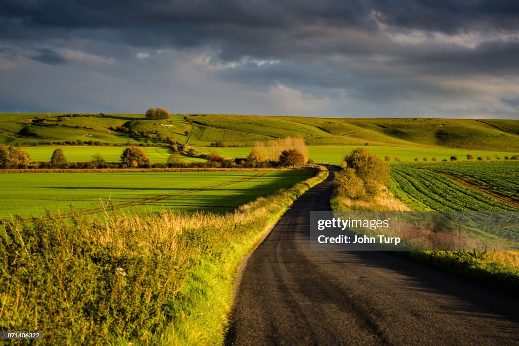 Lush Green Wiltshire Scene