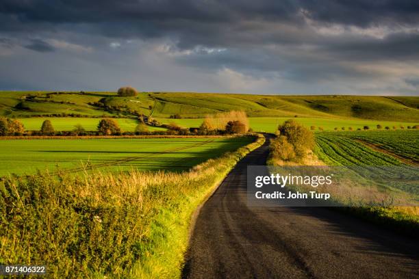 lush green wiltshire scene - wiltshire 個照片及圖片檔