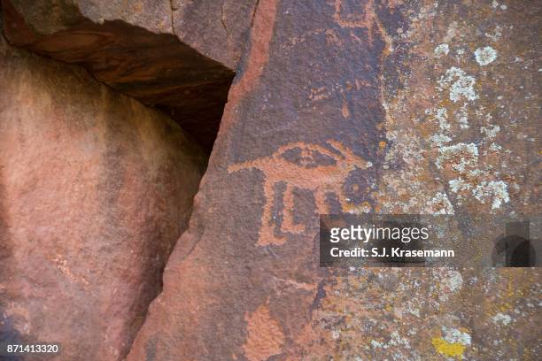 ancient petroglyph of horned animal carved into red rock at v-bar-v heritage site, sedona, arizona. - sinagua stock pictures, royalty-free photos & images