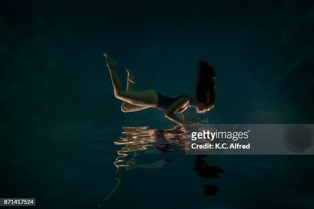portrait of young female model underwater in swimming pool. - parte del corpo animale foto e immagini stock