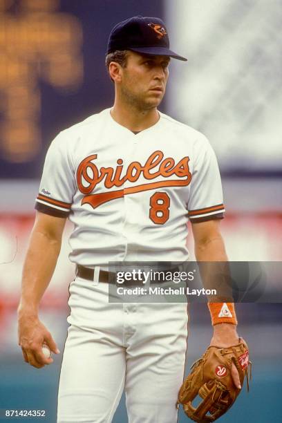 Cal Ripken Jr. #8 of the Baltimore Orioles looks on during a baseball game against the Oakland Athletics on June 11, 1989 at Memorial Stadium in...