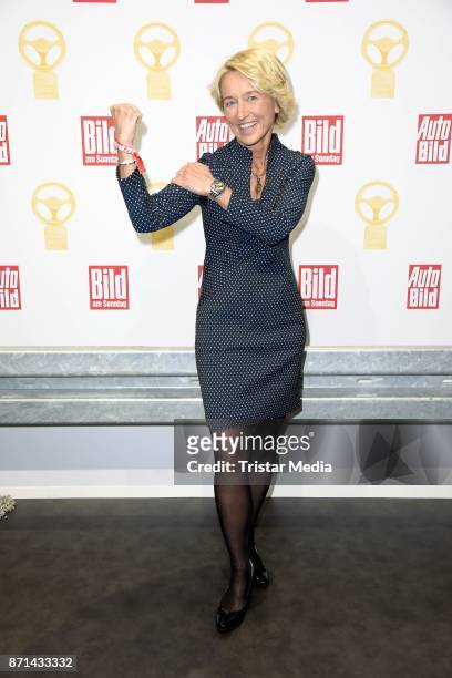 Isolde Holderied attends the 'Das Goldene Lenkrad' Award at Axel Springer Haus on November 7, 2017 in Berlin, Germany.
