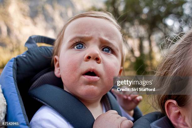 young boy in backpack carrier looking up - baby carrier stock pictures, royalty-free photos & images