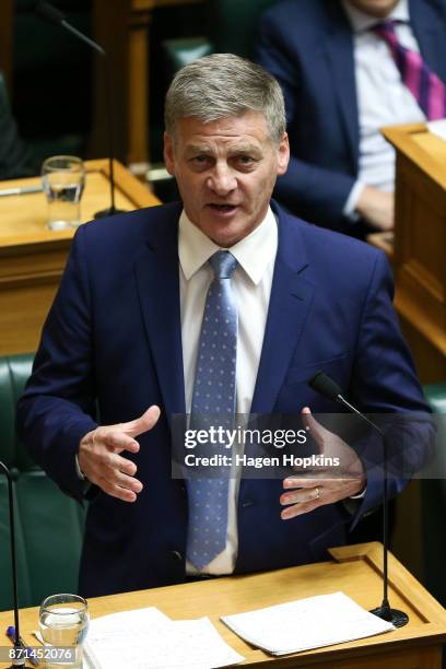 National leader Bill English speaks at Parliament on November 8, 2017 in Wellington, New Zealand. Labour leader Jacinda Ardern was sworn in on 26...