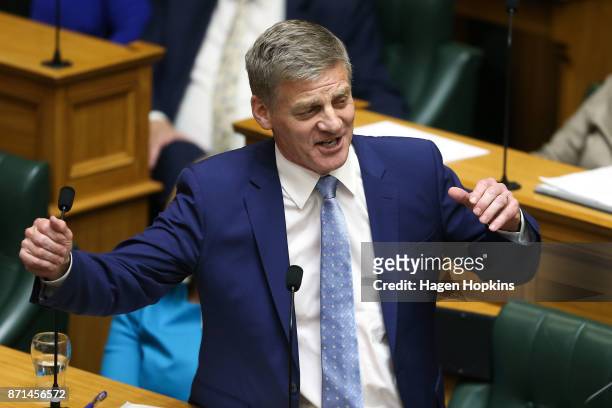 National leader Bill English speaks at Parliament on November 8, 2017 in Wellington, New Zealand. Labour leader Jacinda Ardern was sworn in on 26...