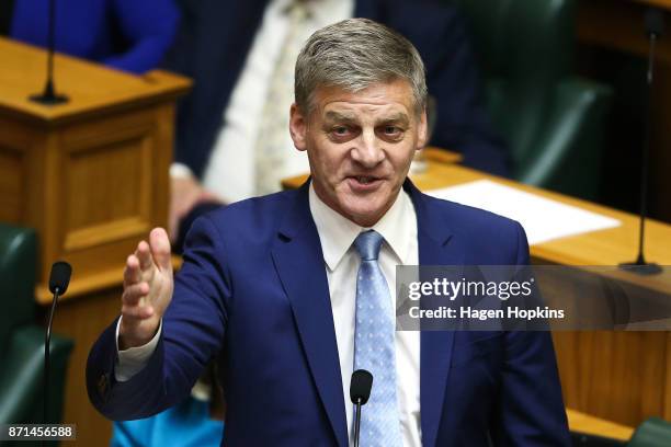 National leader Bill English speaks at Parliament on November 8, 2017 in Wellington, New Zealand. Labour leader Jacinda Ardern was sworn in on 26...