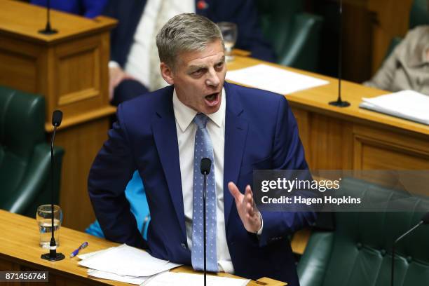 National leader Bill English speaks at Parliament on November 8, 2017 in Wellington, New Zealand. Labour leader Jacinda Ardern was sworn in on 26...