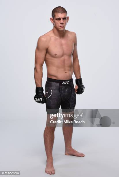 Joe Lauzon poses for a portrait during a UFC photo session on November 7, 2017 in Norfolk, Virginia.