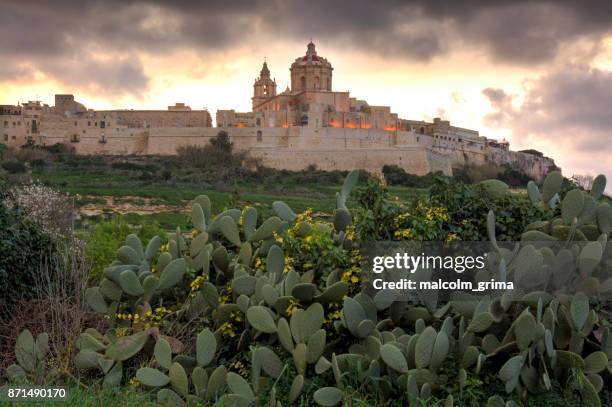 mdina, the silent city at sunset - mdina stock pictures, royalty-free photos & images