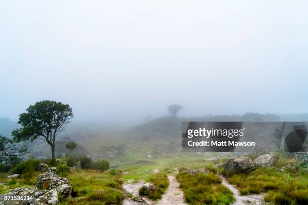 fog and mist in the north eastern south african countryside in mpumulanga province - mpumalanga fotografías e imágenes de stock