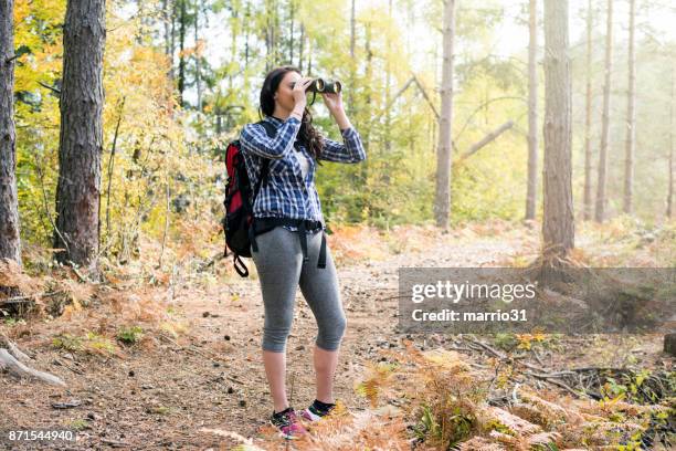 young female hiker watching through binoculars wild birds - ave stock pictures, royalty-free photos & images