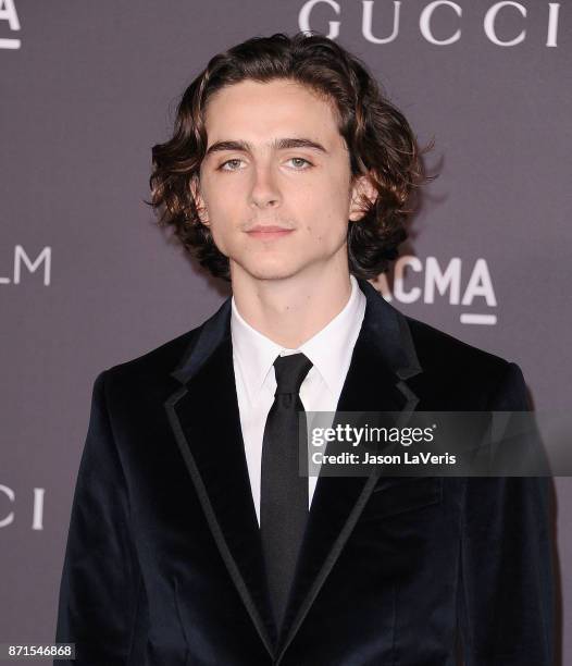 Timothee Chalamet attends the 2017 LACMA Art + Film gala at LACMA on November 4, 2017 in Los Angeles, California.