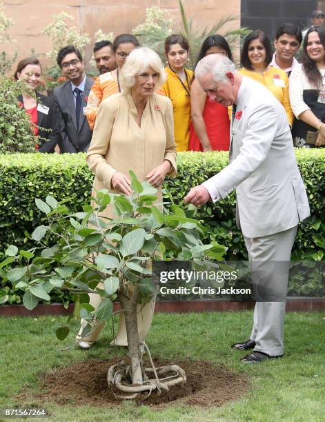 Camilla, Duchess of Cornwall and Prince Charles, Prince of Wales plant a banyan tree to commemorate the British Council's 70 year presence in India...
