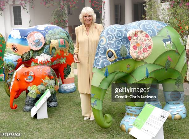 Camilla, Duchess of Cornwall poses with 101 painted sculptures, named after the 101 elephant corridors that have been mapped across the country, at...