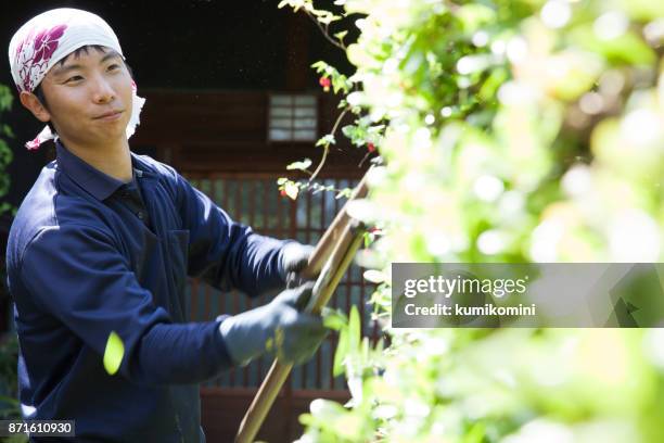 young japanese gardener - landscape architect stock pictures, royalty-free photos & images