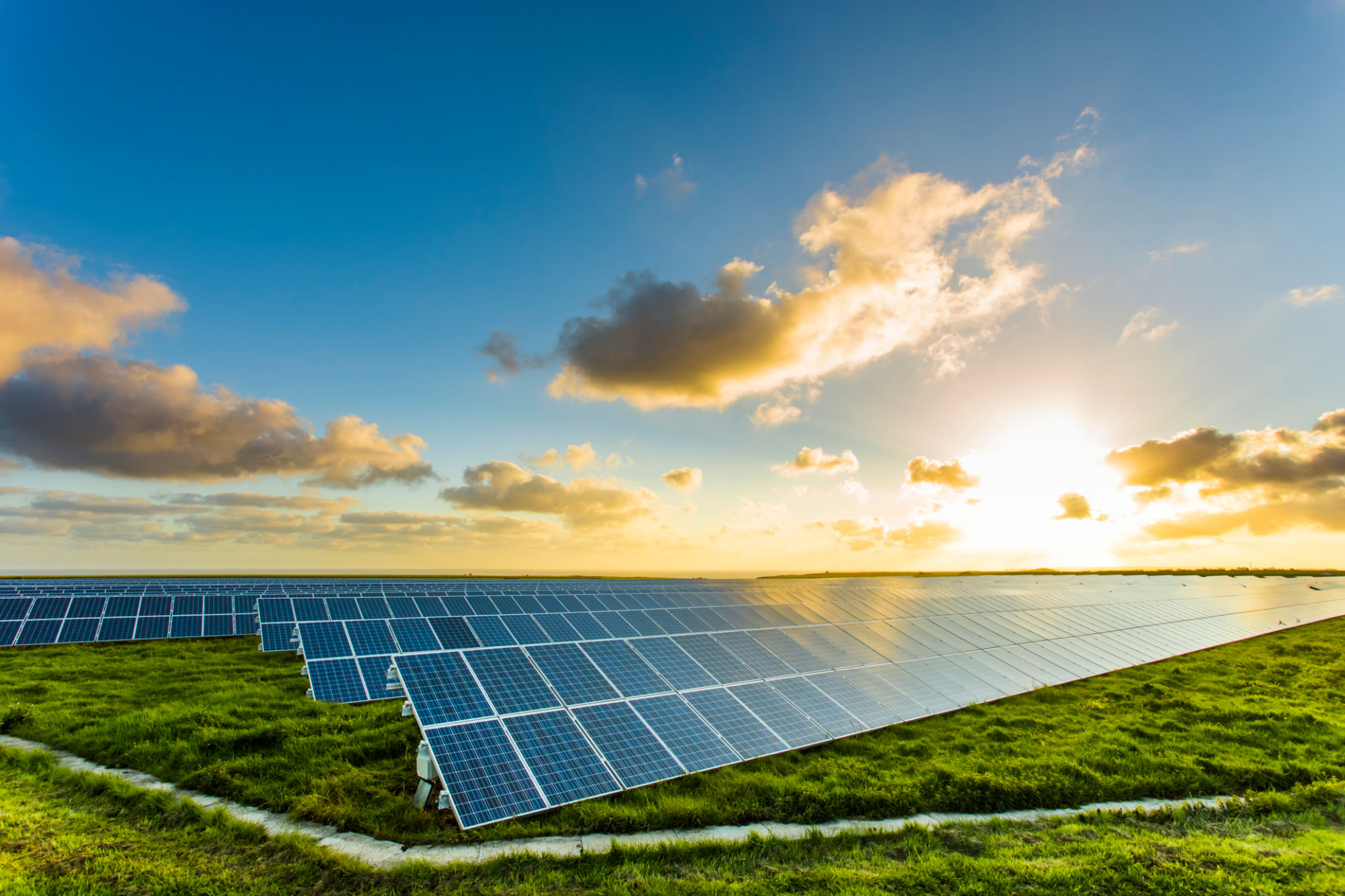 solar future