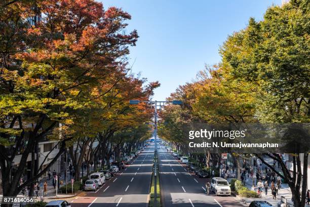 omotesando street during autumn in tokyo - omotesando tokyo stock pictures, royalty-free photos & images