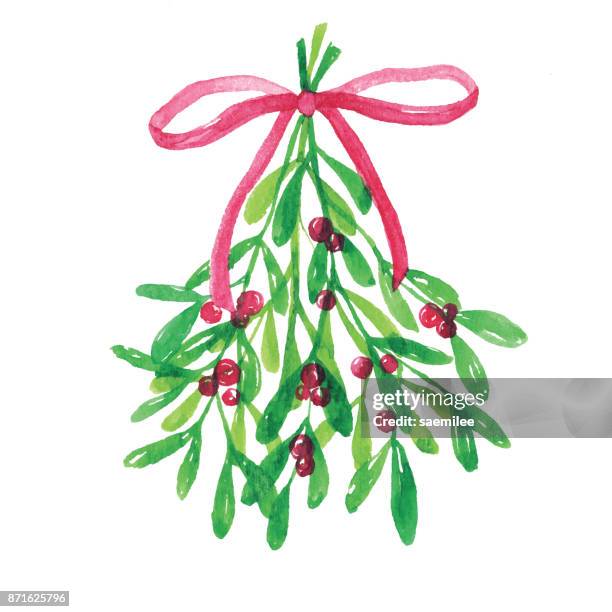 ilustrações de stock, clip art, desenhos animados e ícones de watercolor mitletoe with red ribbon - ramo-de-flores