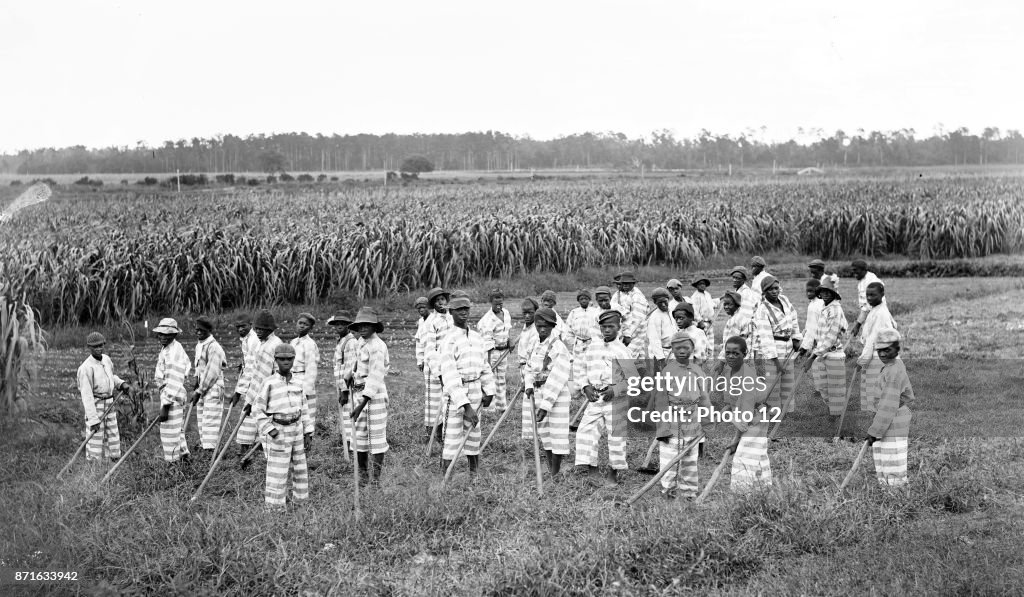 African-American convicts working in the fields in a chain gang.