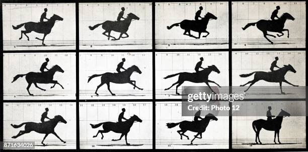 Horse in Motion by Eadweard Muybridge an English photographer important for his pioneering work in photographic studies of motion, and early work in...