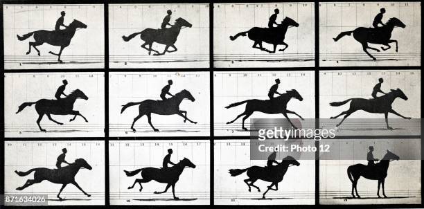 1,148 Eadweard Muybridge Photos and Premium High Res Pictures - Getty Images