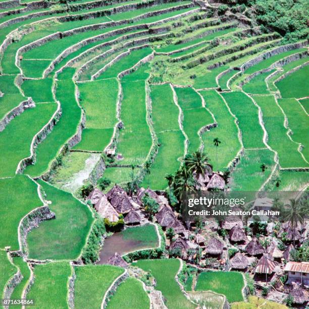 Rural Community Picture In Philippines Photos and Premium High Res ...