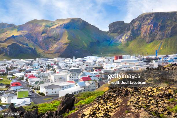 gehäuse-community auf den westmännerinseln (vestmannaeyjar), island - westman islands stock-fotos und bilder