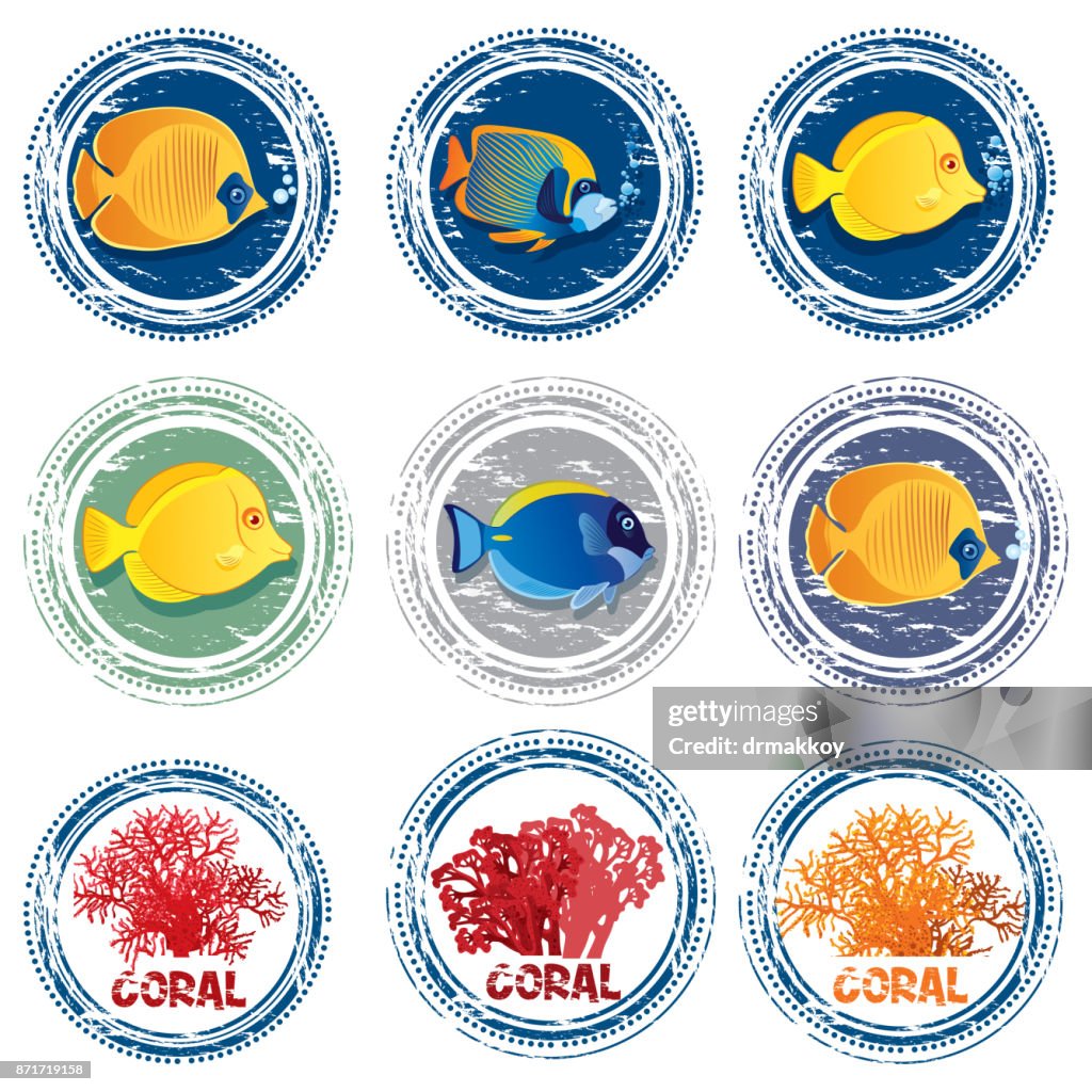 Timbre de poissons tropicaux