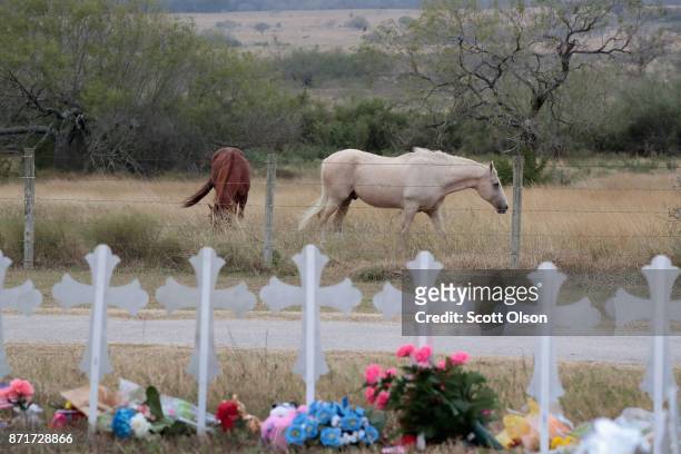 Horses graze in a pasture near a memorial where 26 crosses were placed to honor the 26 victims killed at the First Baptist Church of Sutherland...