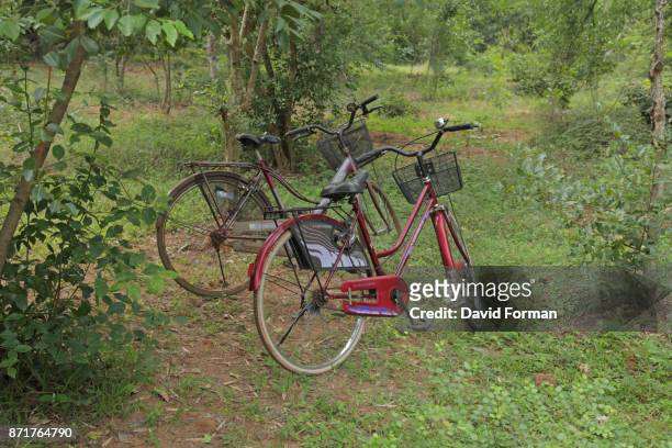 bicycles in a wood at auroville near pondicherry, india. - pondicherry stock pictures, royalty-free photos & images