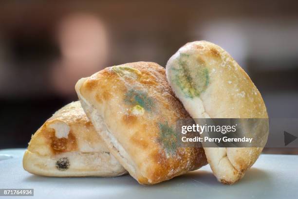 ciabatta bread with mold growth - aspergillus stockfoto's en -beelden