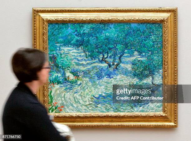 File image taken April 23, 2009 shows a visitor looking at the painting "Olive Trees" by Dutch artist Vincent van Gogh at the Kunstmuseum in Basel,...
